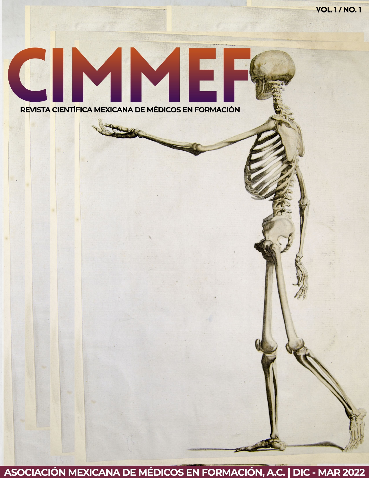 Revista CIMMEF, No. 1, Vol. 1.